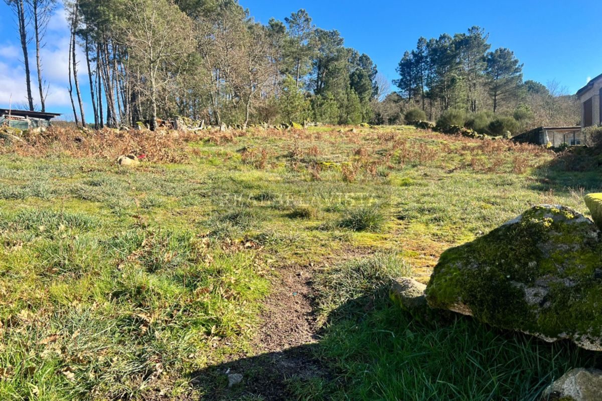 Terreno Sanguinhedo