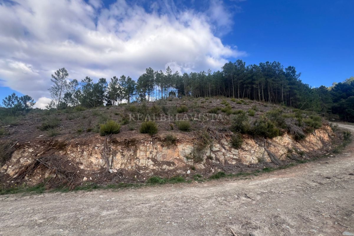 Terreno
